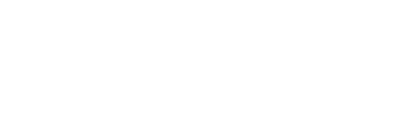 Impact Solution